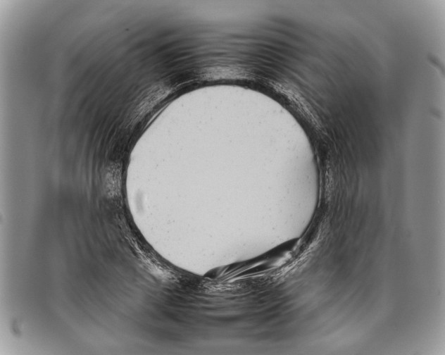 X0000097780833200803281700