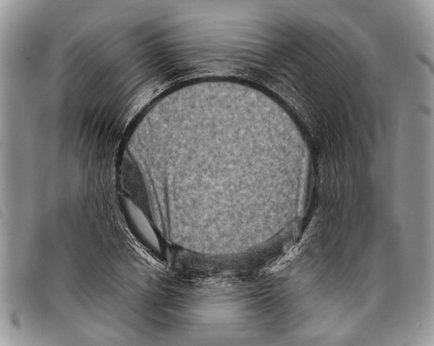 X0000097780834200803281700