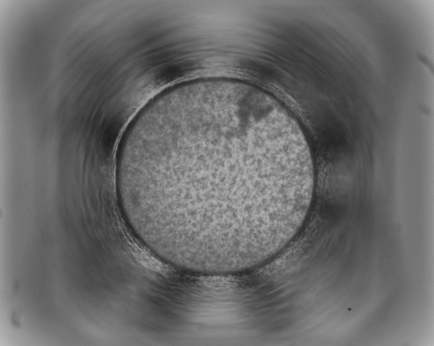 X0000097780836200803281700