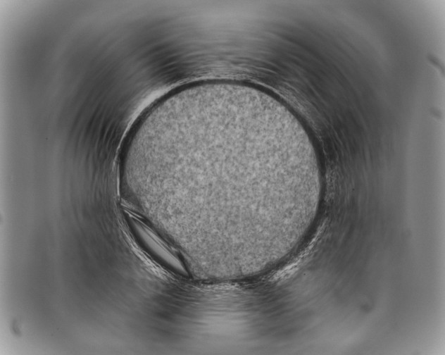 X0000097780838200803281700