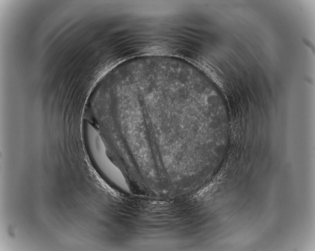 X0000097780839200803281700