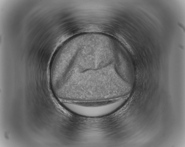 X0000097780840200803281700