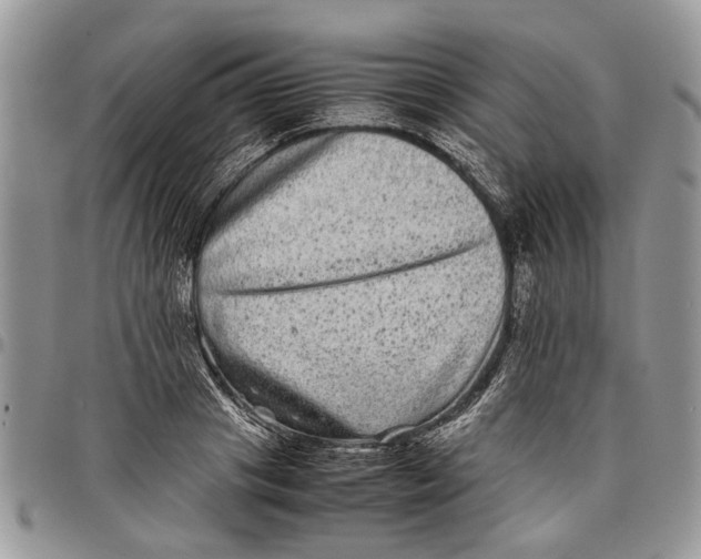 X0000097780841200803281700