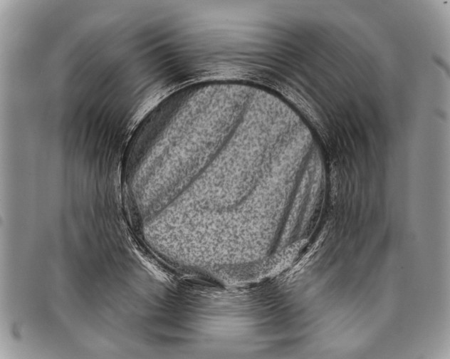 X0000097780842200803281700