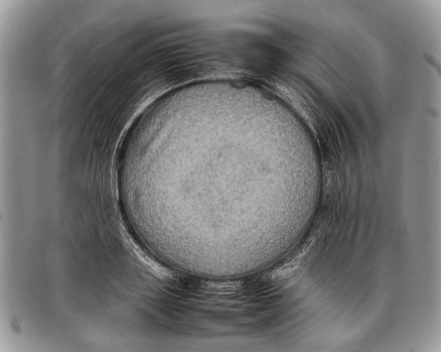 X0000097780843200803281700