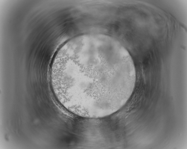 X0000097780848200803281700