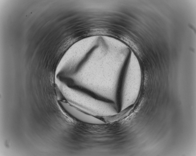 X0000097780849200803281700