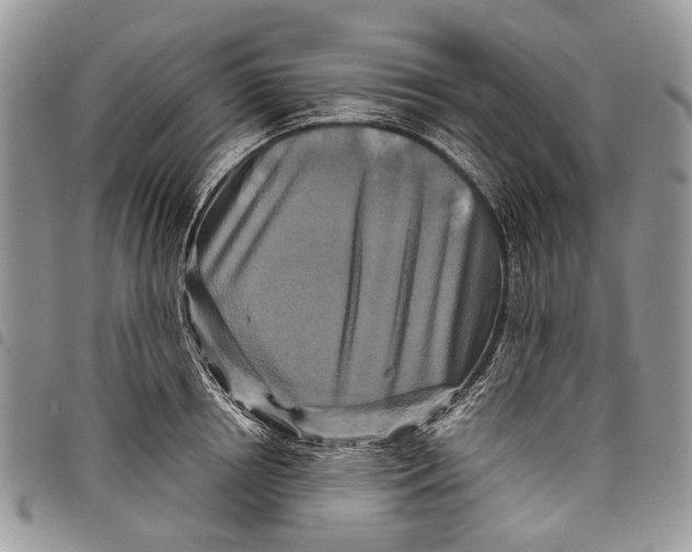 X0000097780850200803281700