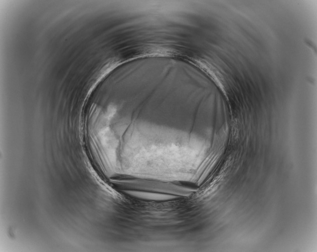 X0000097780851200803281700