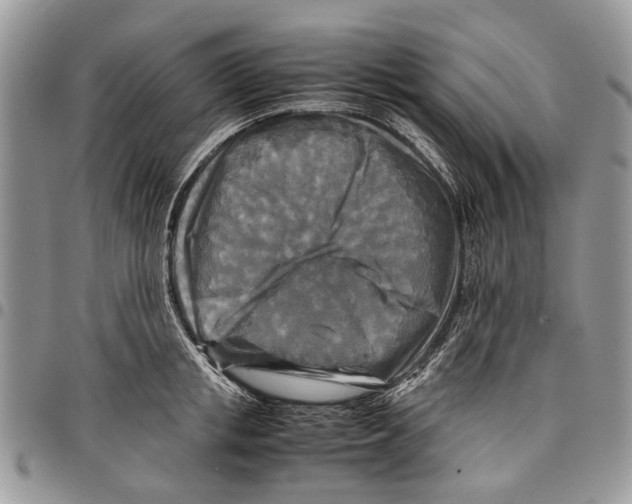 X0000097780853200803281700