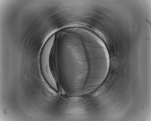 X0000097780854200803281700