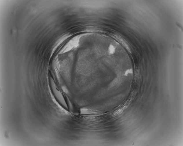 X0000097780855200803281700