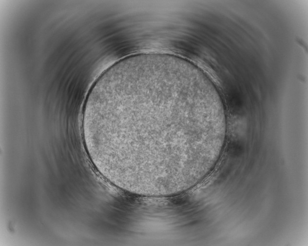 X0000097780856200803281700