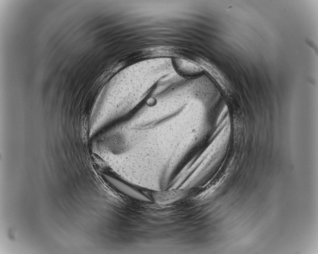 X0000097780857200803281700