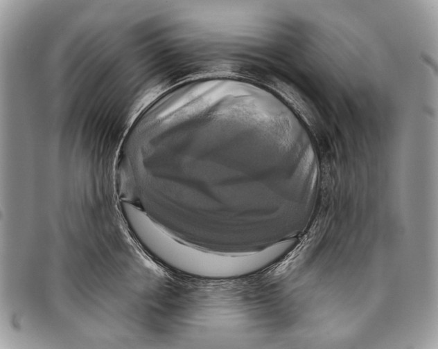 X0000097780858200803281700