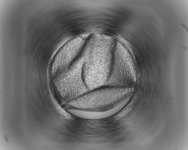 X0000097780859200803281700