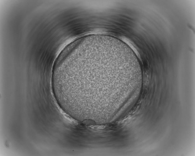 X0000097780861200803281700