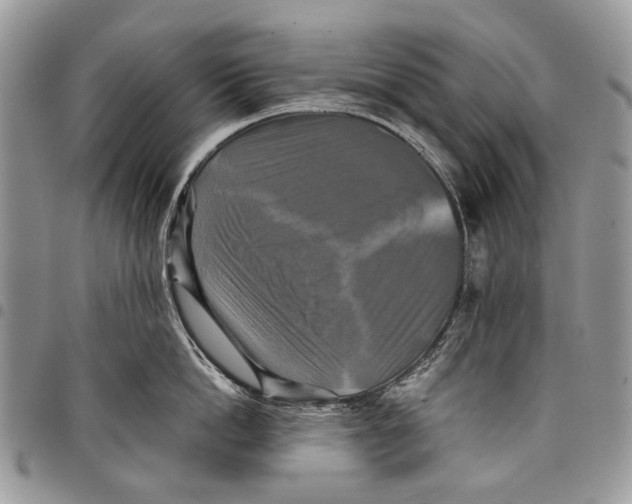 X0000097780862200803281700