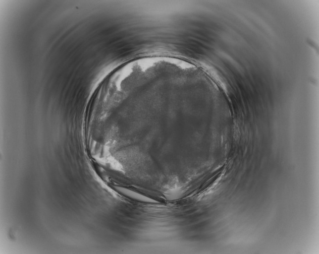 X0000097780863200803281700