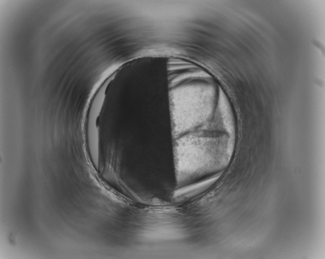 X0000097780864200803281700