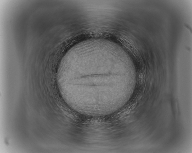 X0000097780865200803281659