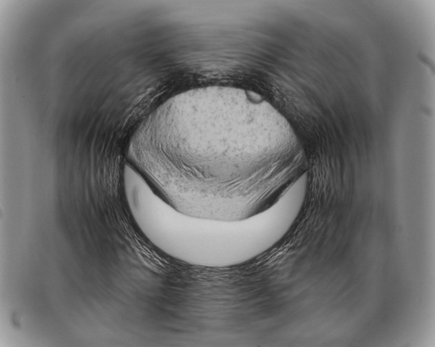 X0000097780868200803281659