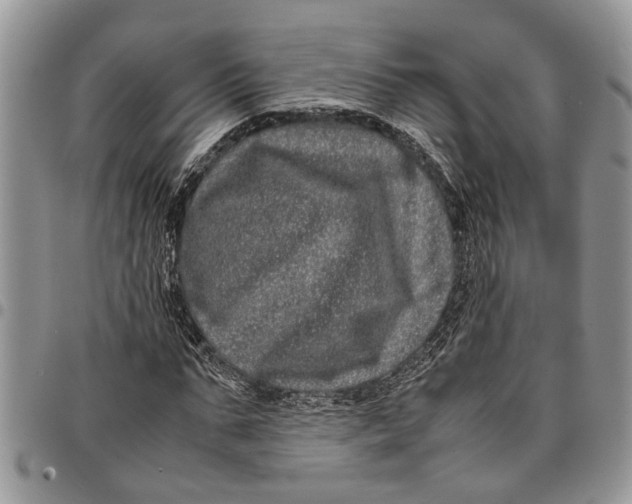 X0000097780871200803281659