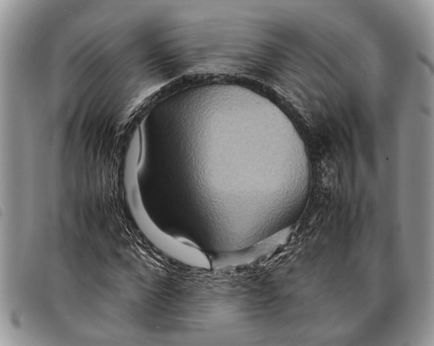 X0000097780872200803281659