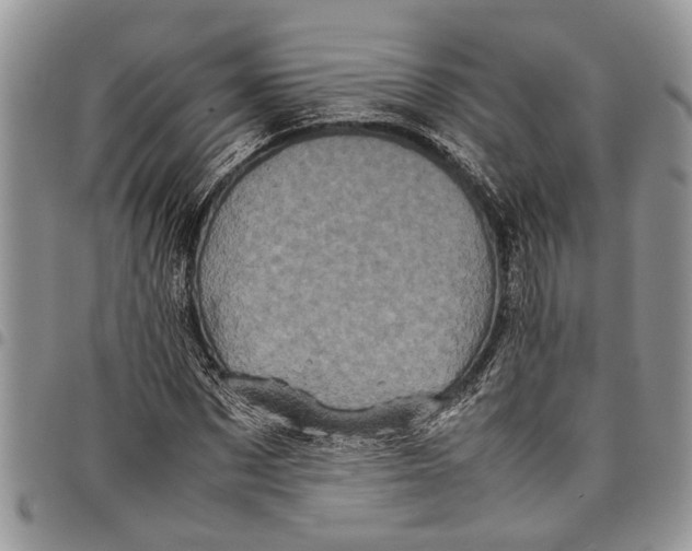 X0000097780873200803281659