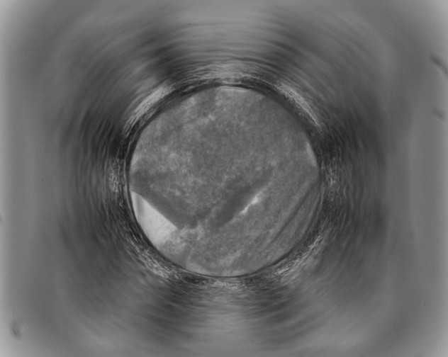 X0000097780874200803281659