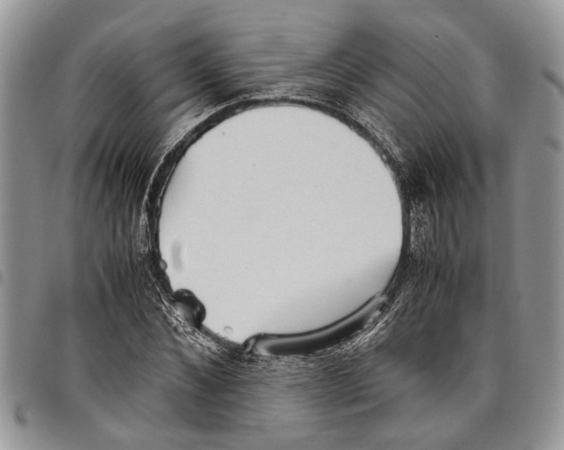 X0000097780876200803281659