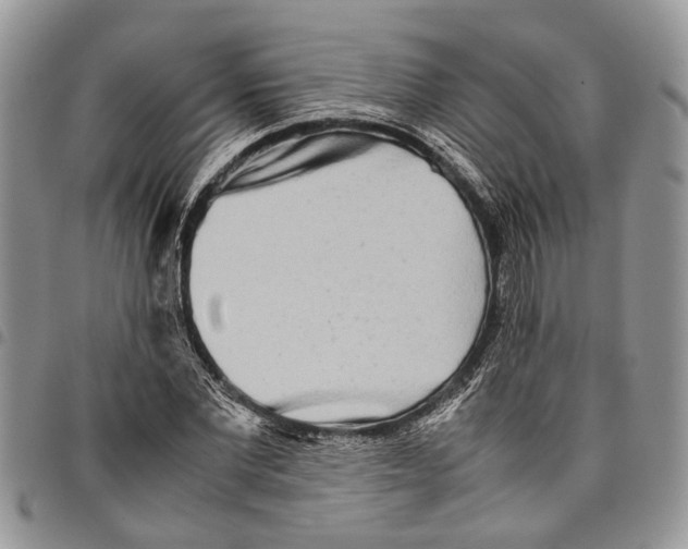 X0000097780877200803281659