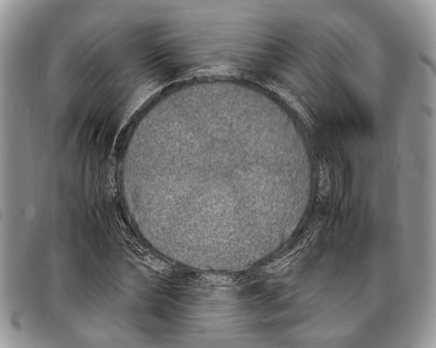 X0000097780878200803281659