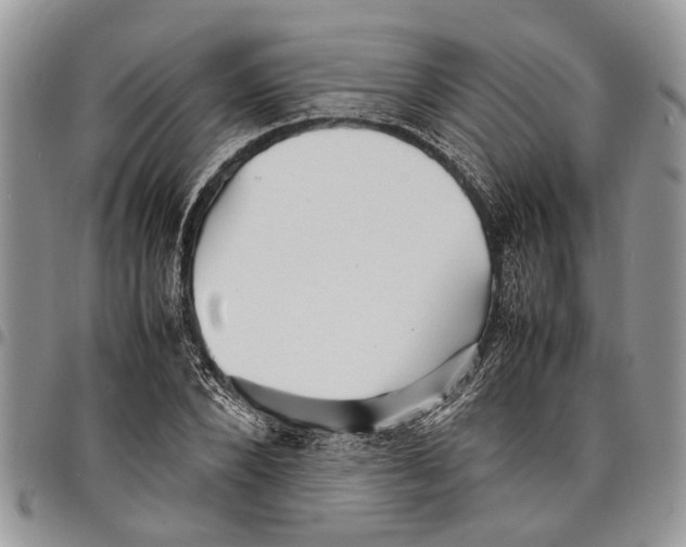 X0000097780880200803281659