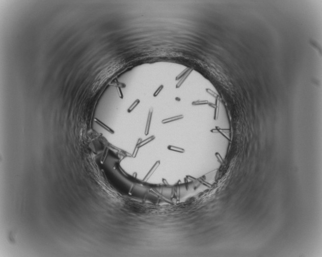 X0000097780881200803281659