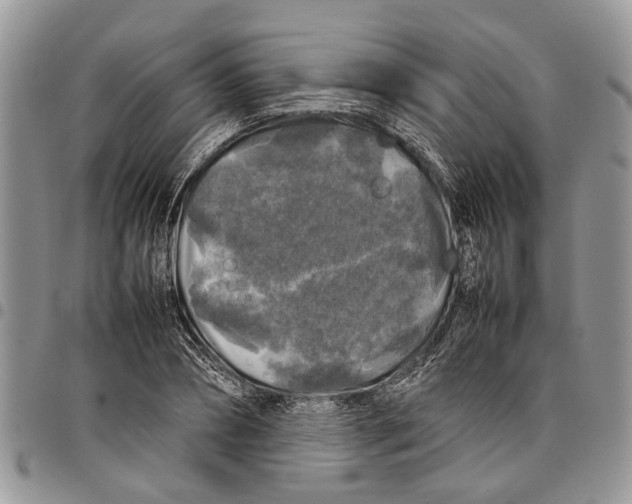 X0000097780882200803281659