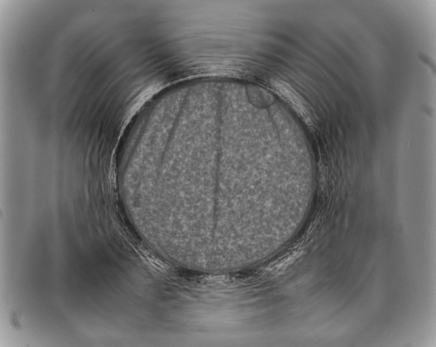 X0000097780883200803281659