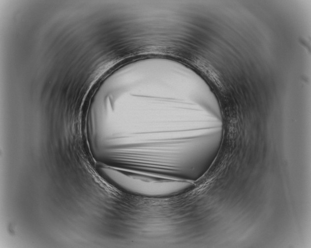 X0000097780884200803281659