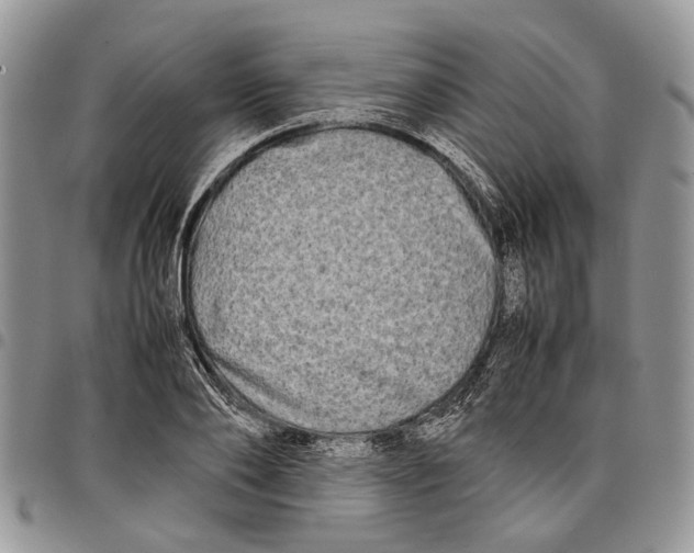 X0000097780886200803281659