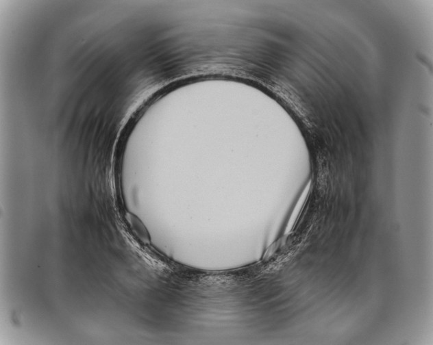 X0000097780888200803281659