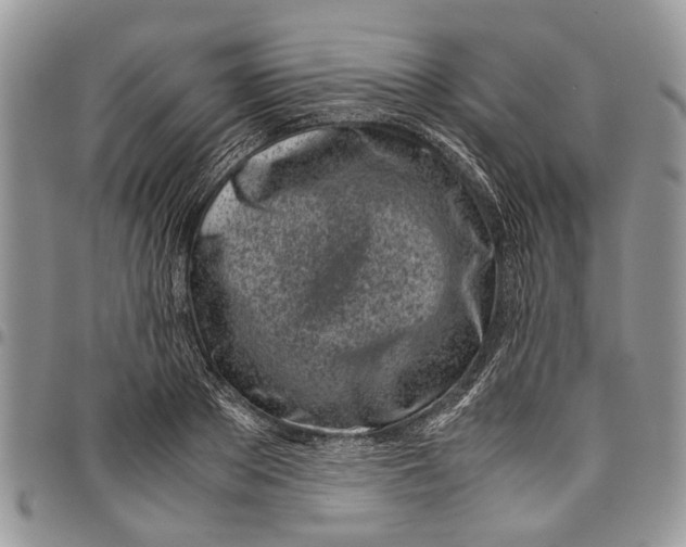 X0000097780889200803281659