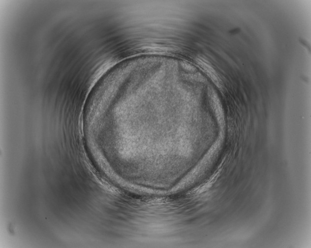 X0000097780891200803281659