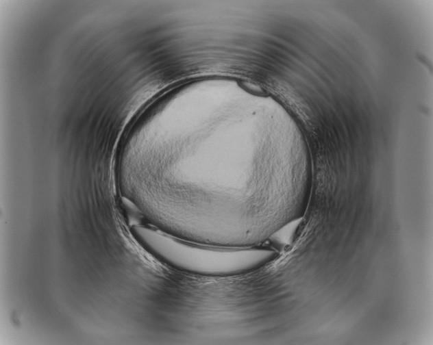 X0000097780892200803281659