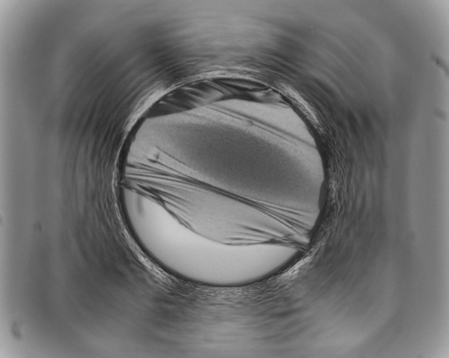 X0000097780893200803281659