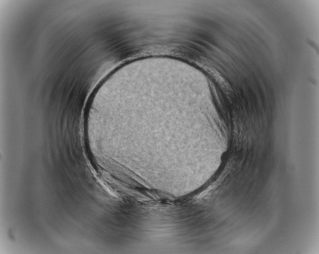 X0000097780894200803281659