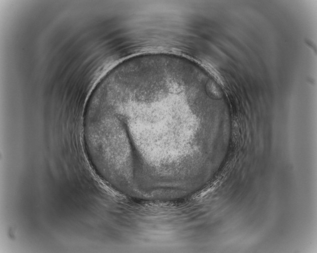 X0000097780895200803281659