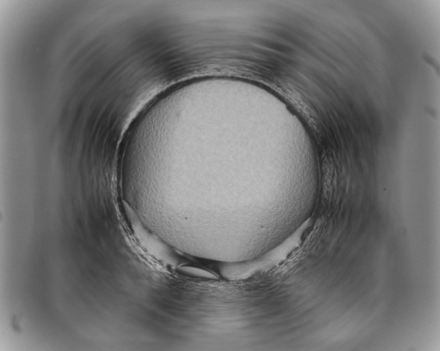 X0000097780896200803281659