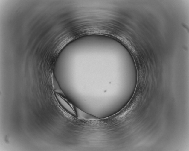 X0000097780897200803281659