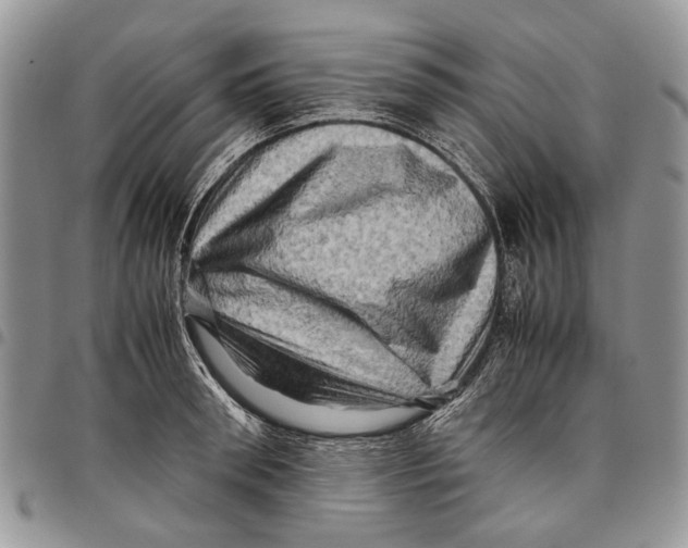 X0000097780898200803281659