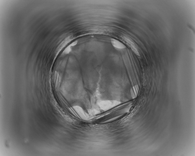 X0000097780899200803281659